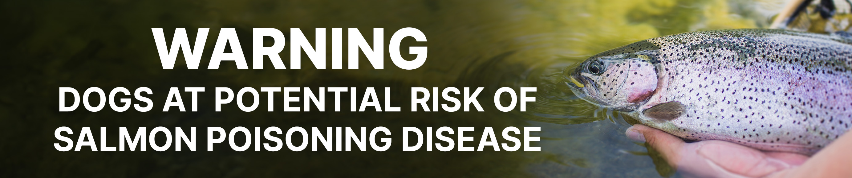 Warning Banner
